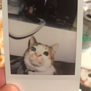 Meet your Posher, James